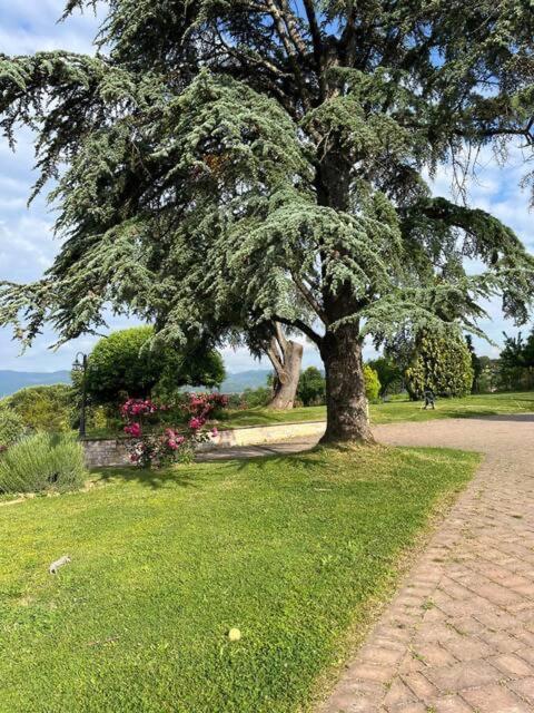 Apartament Il Nido Barberino di Mugello Zewnętrze zdjęcie